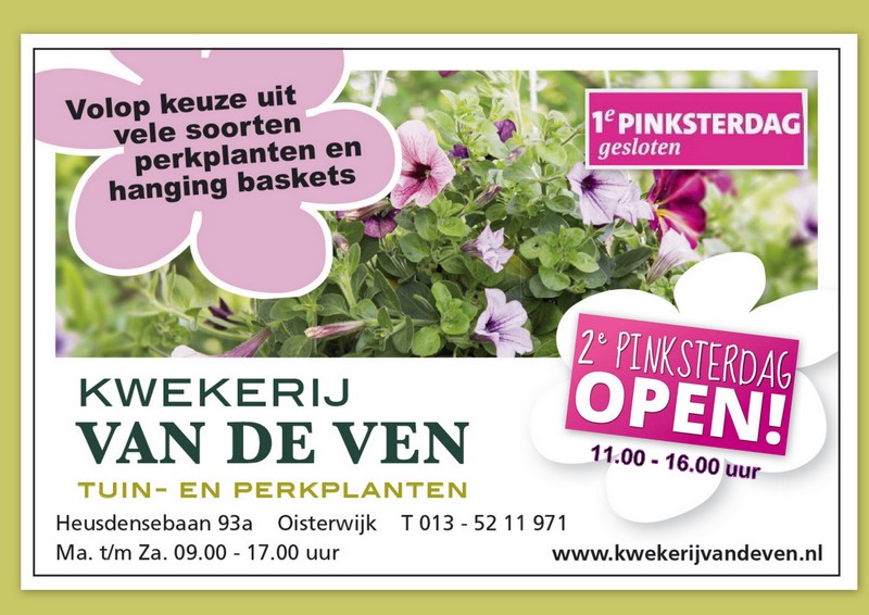 banner violen en voorjaarsbloeiers