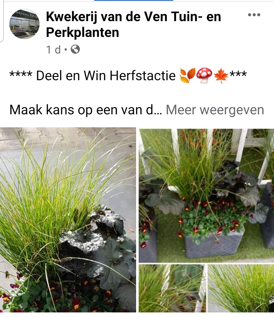 Facebookactie najaar herfst