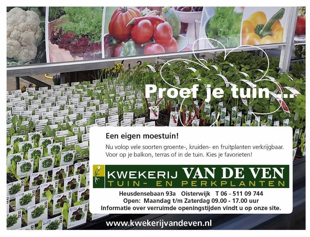 MOESTUIN VOORJAAR