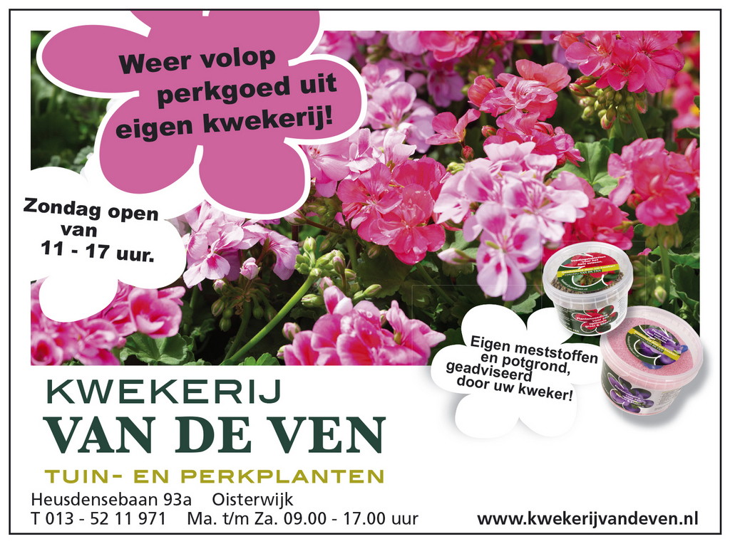 banner violen en voorjaarsbloeiers