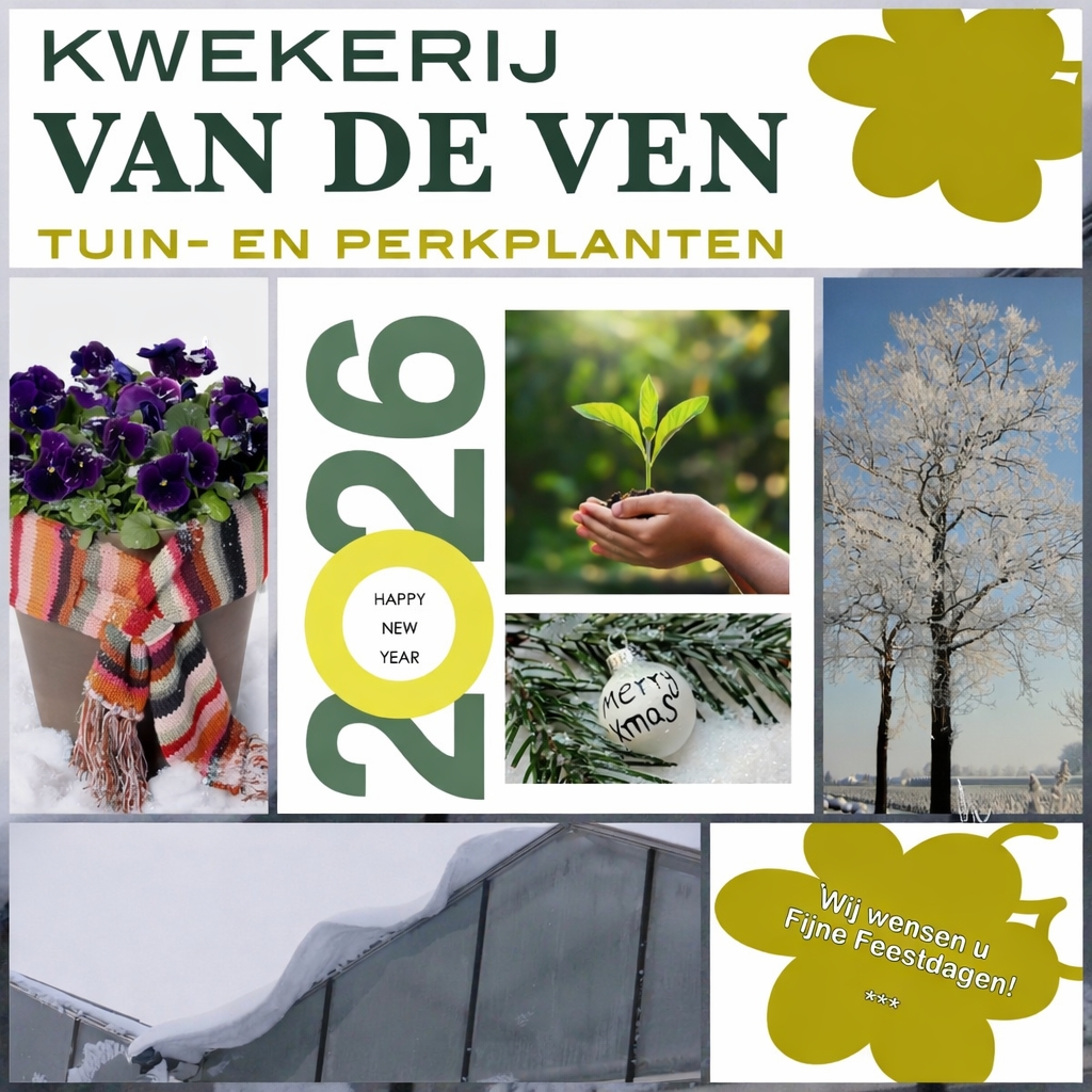 afbeelding kerst en nieuw 2026