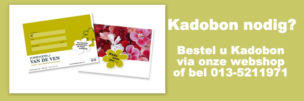 banner kadobon website 01