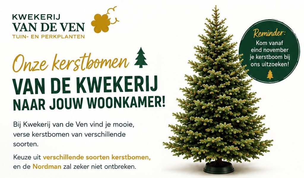 Kerstbomen
