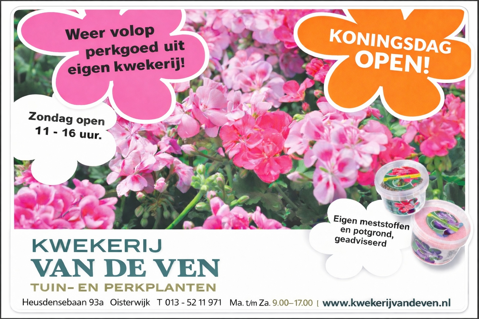 banner violen en voorjaarsbloeiers