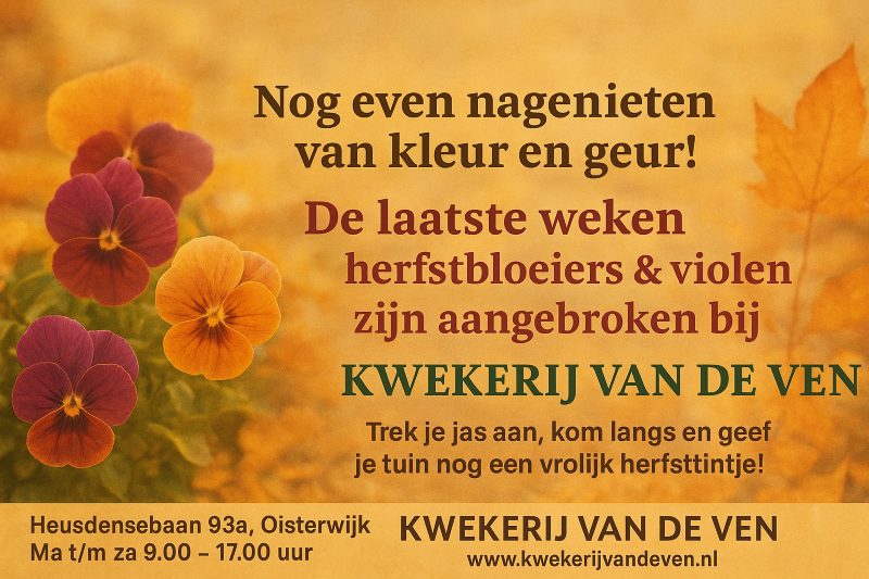 Violen en Herfstbloeiers