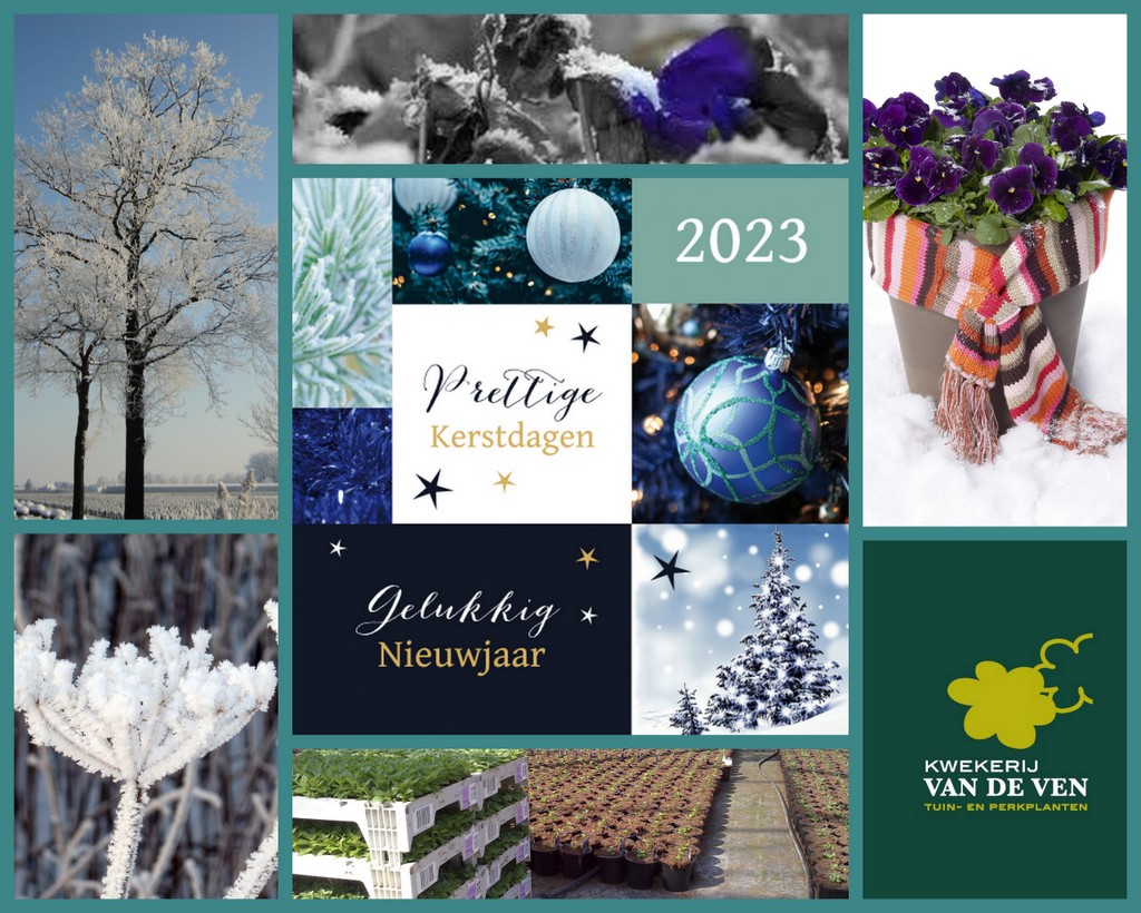 kerst en nieuw kaart 2023
