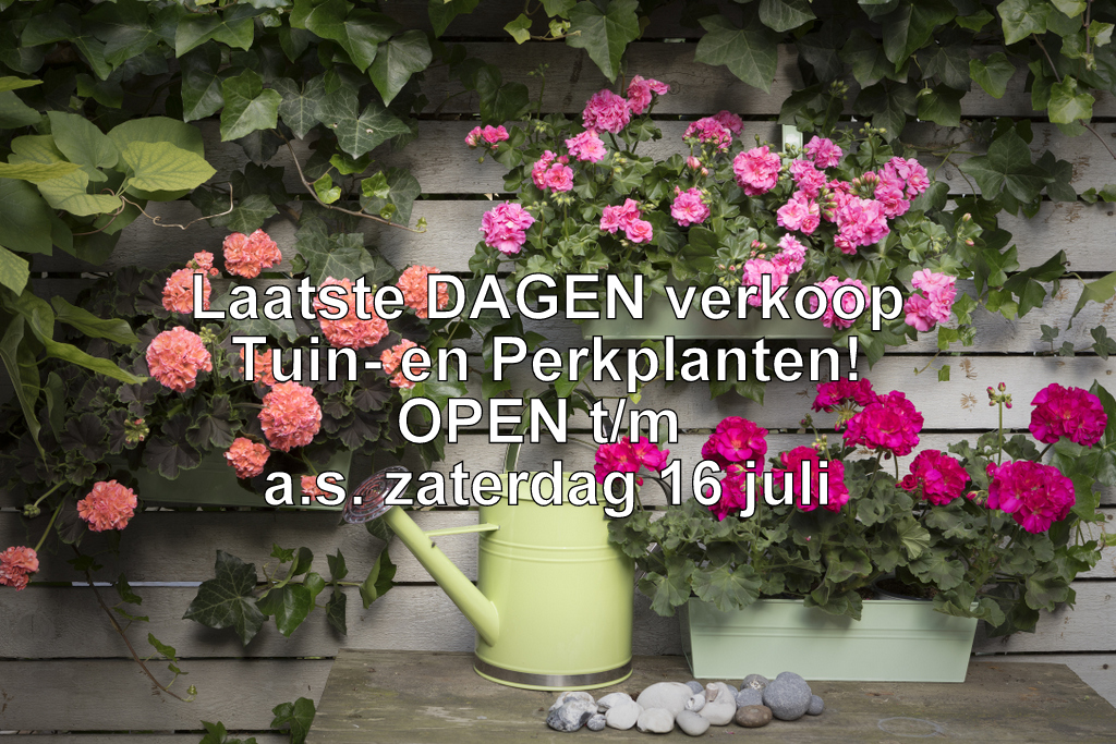 advvolopperkgoedzonderopeningstijden