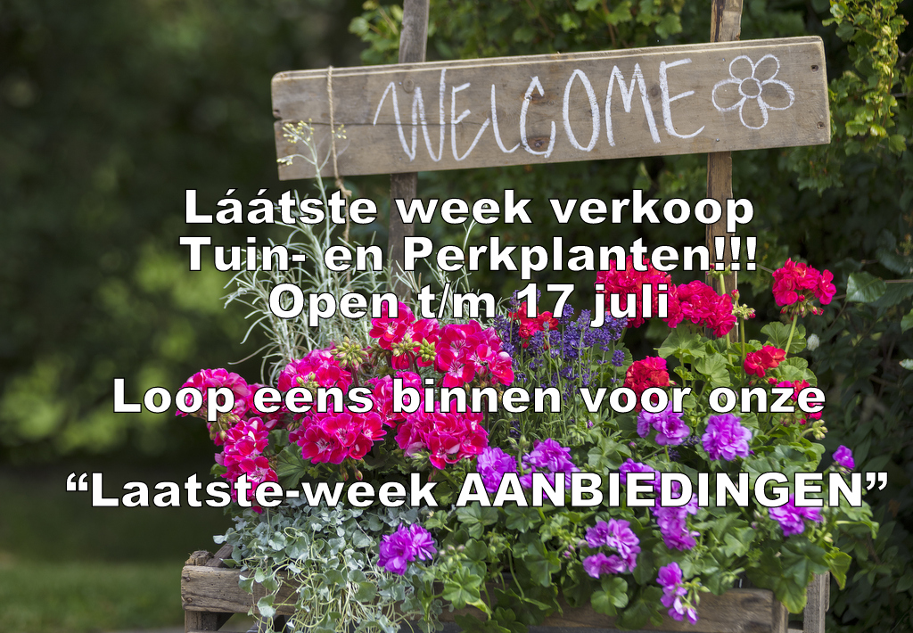 laatste week verkoop 2021 01