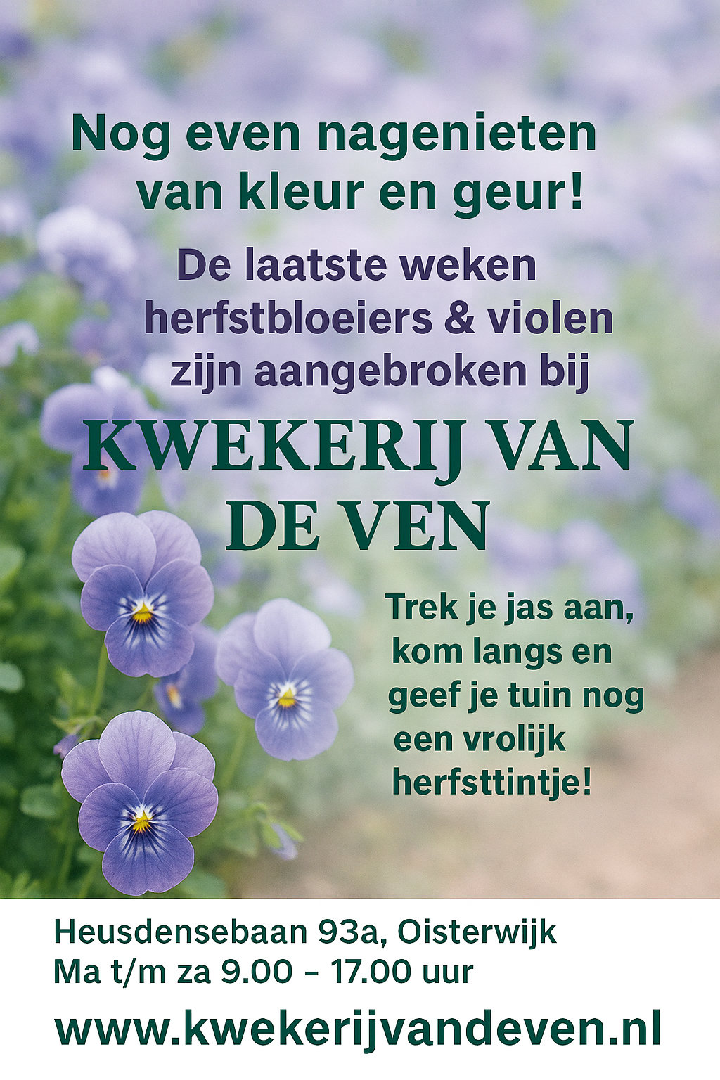 laatste weken herfstbloeiers 01