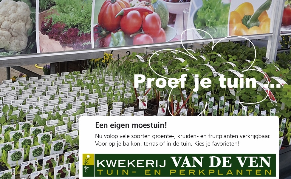 moestuin voorjaar kruidenen groenten 01