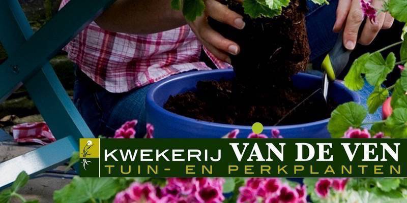 planten foto met logo