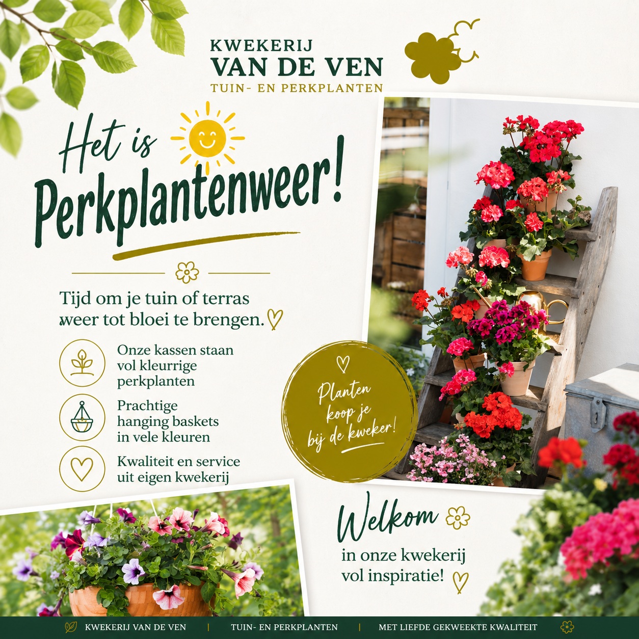 Het is weer Perkplantenweer