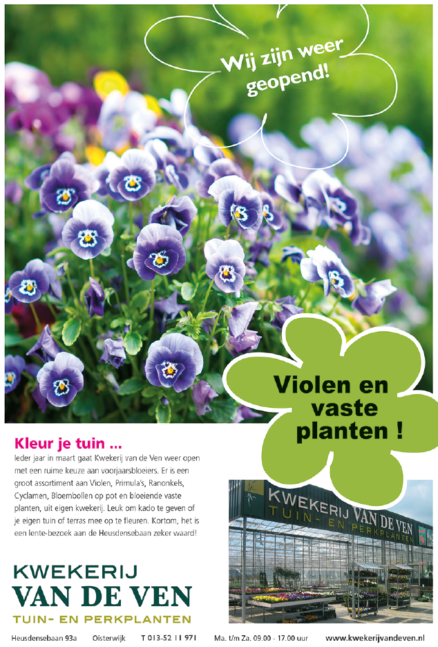 banner violen en voorjaarsbloeiers