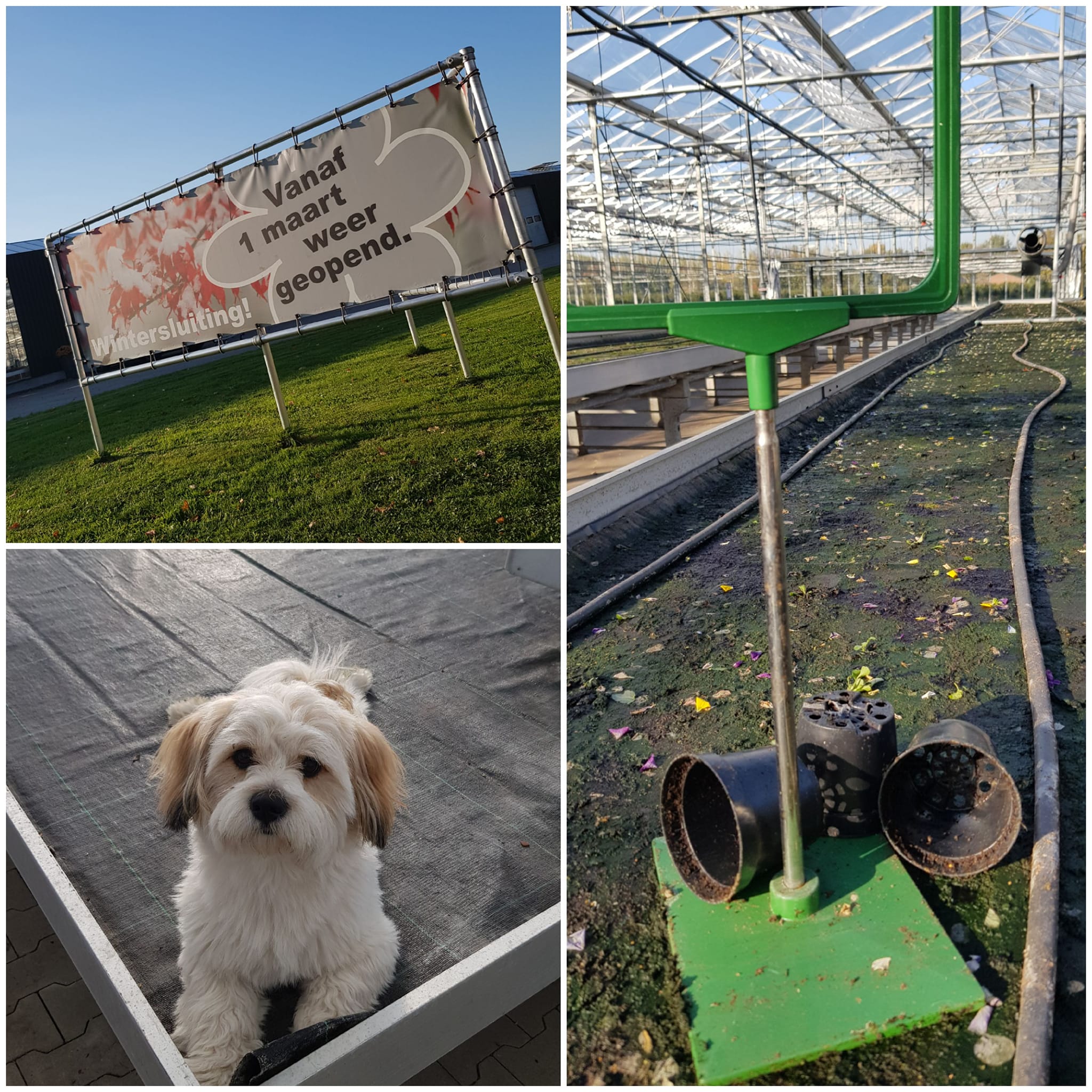 wintersluiting kwekerij 2022